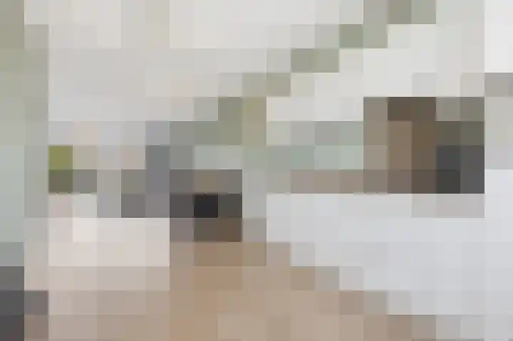 Dongepad 3 Raamsdonksveer thumbnail 13