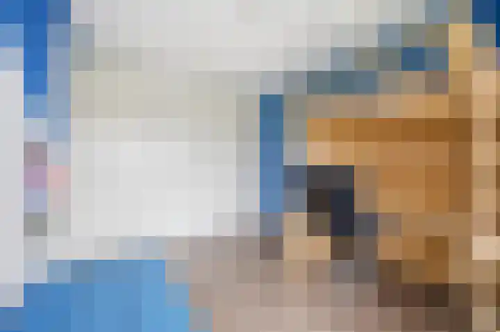Dongepad 3 Raamsdonksveer thumbnail 23