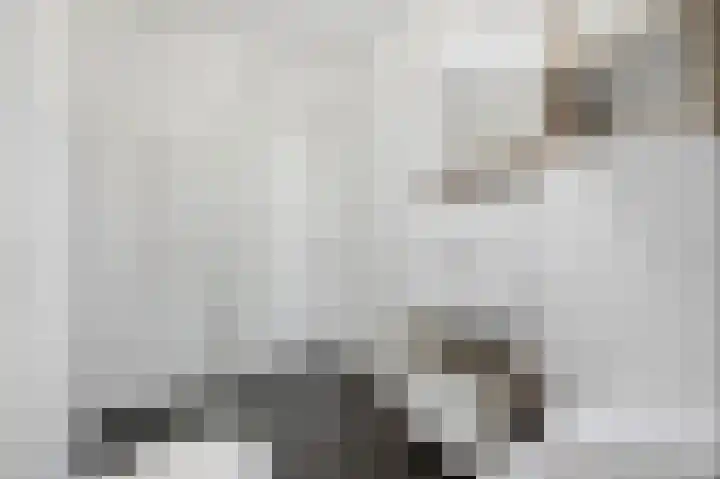 Dongepad 3 Raamsdonksveer thumbnail 24