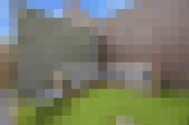 Dongepad 3 Raamsdonksveer thumbnail 33