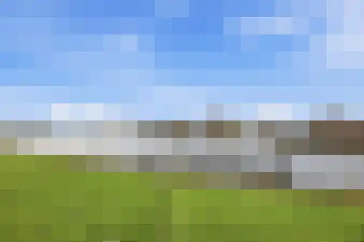 Dongepad 3 Raamsdonksveer thumbnail 39