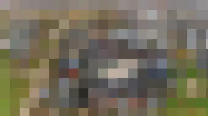 Dongepad 3 Raamsdonksveer thumbnail 5