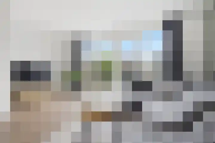 Dongepad 3 Raamsdonksveer thumbnail 7
