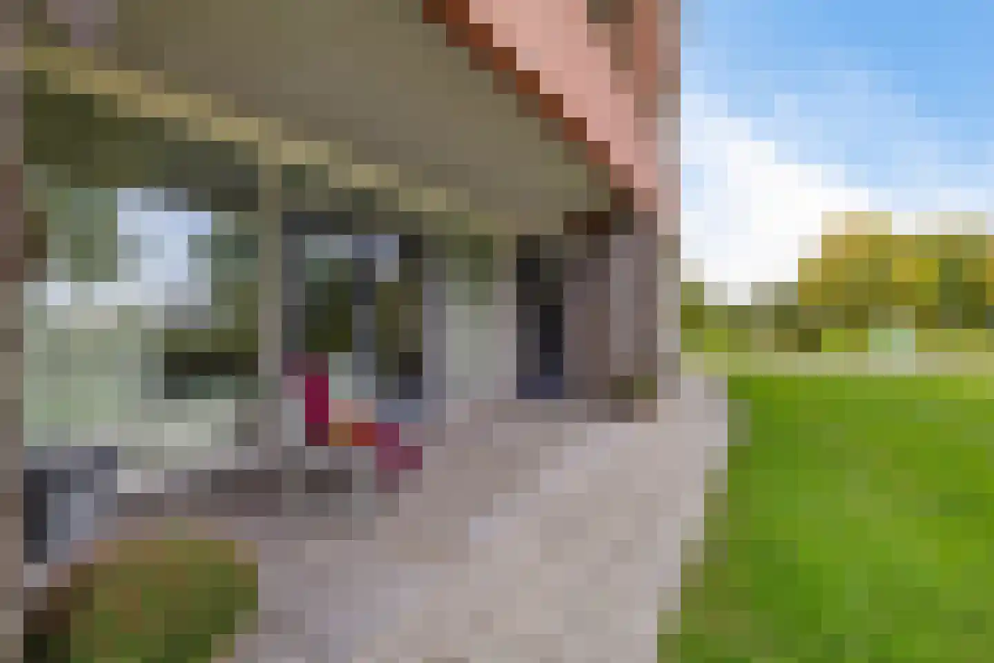 Dongeradyk 1 Dokkum foto 3