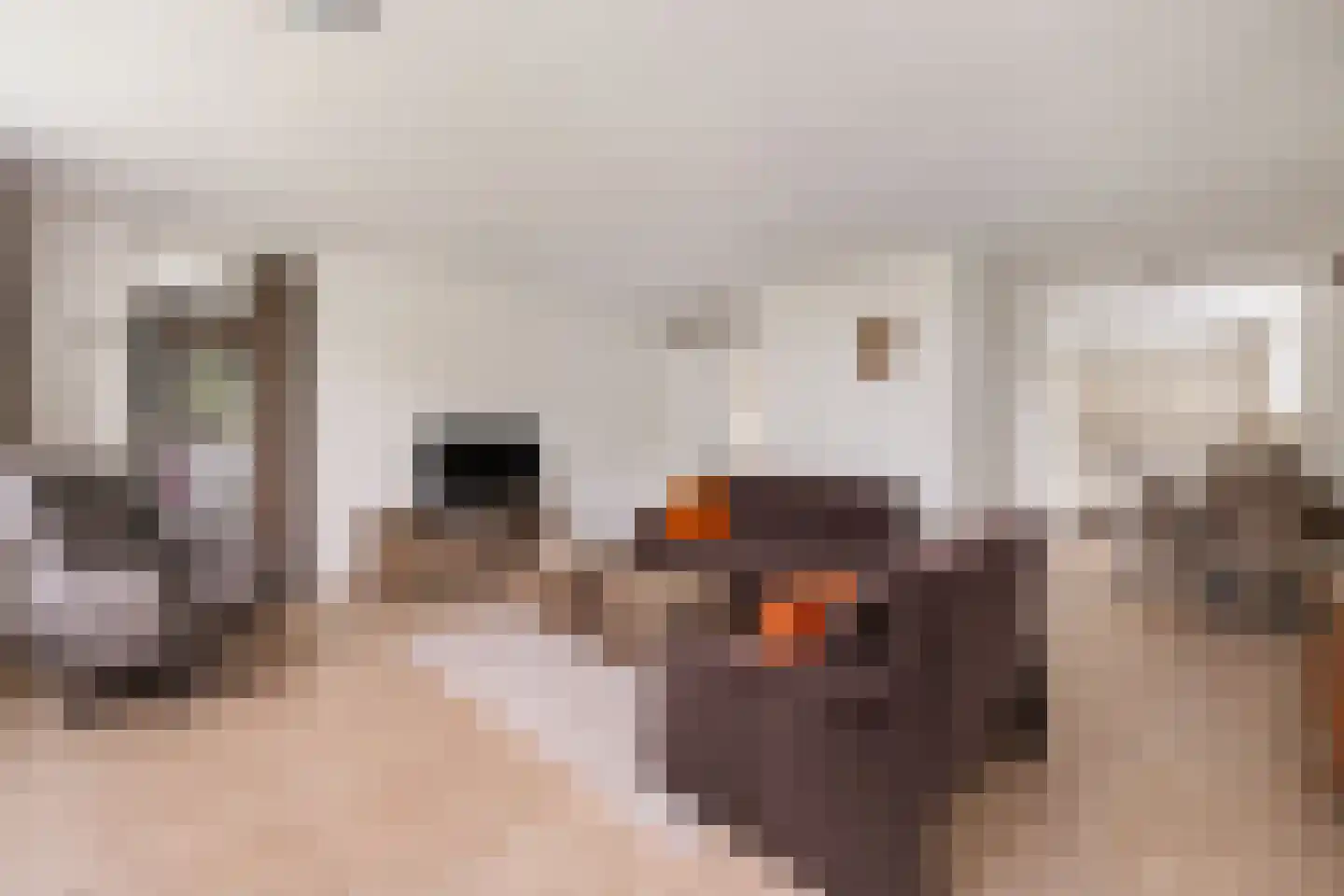 Dongeradyk 1 Dokkum thumbnail 4