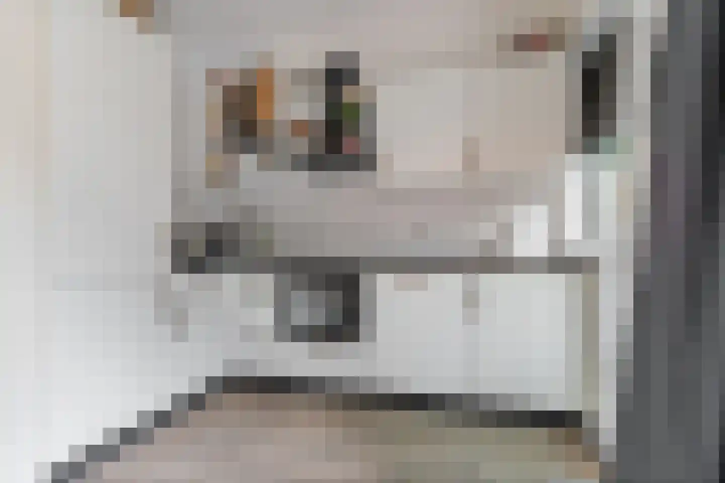Dongestraat 16 Dordrecht thumbnail 4