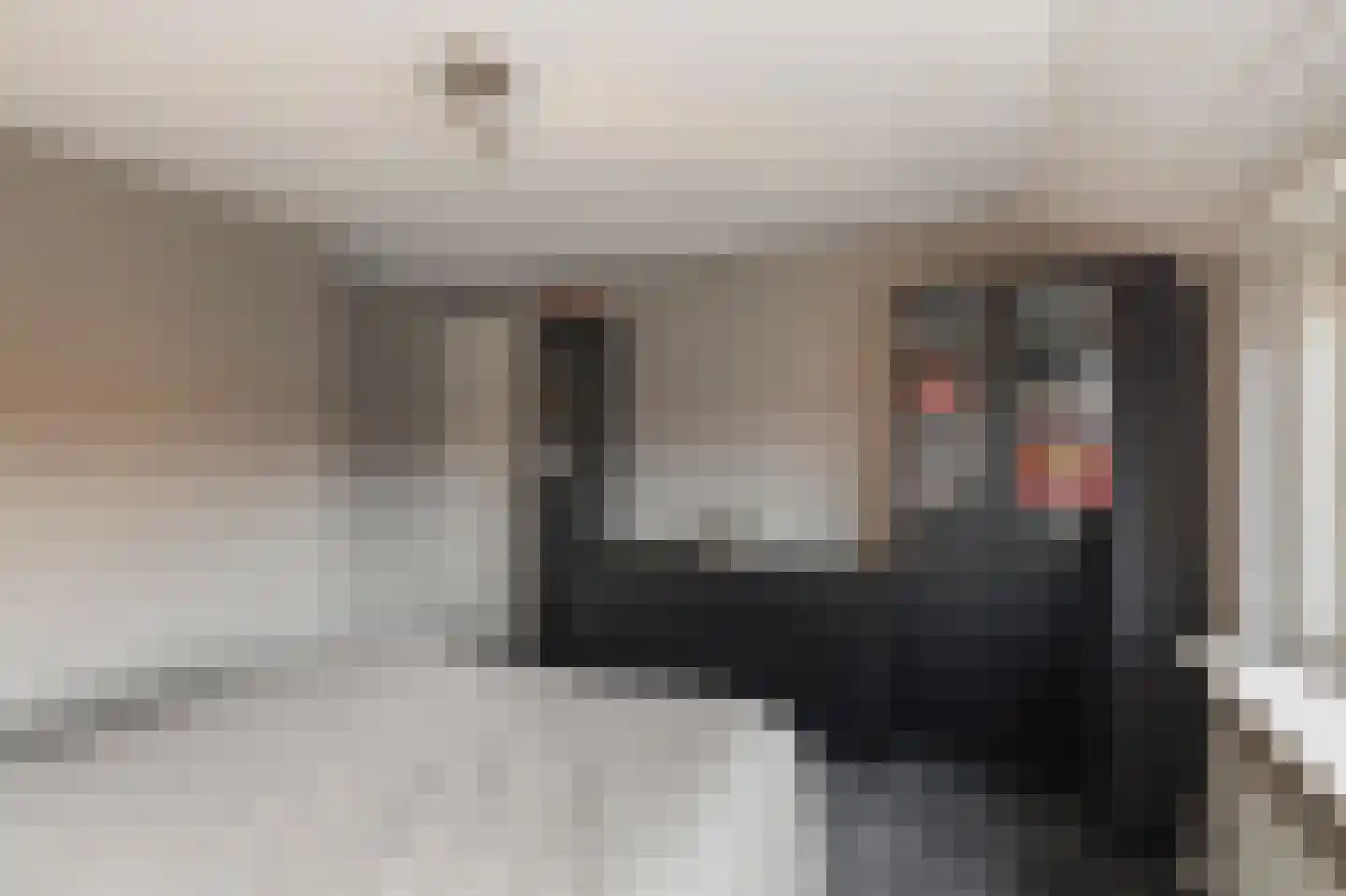 Dongestraat 21 Den Helder thumbnail 17
