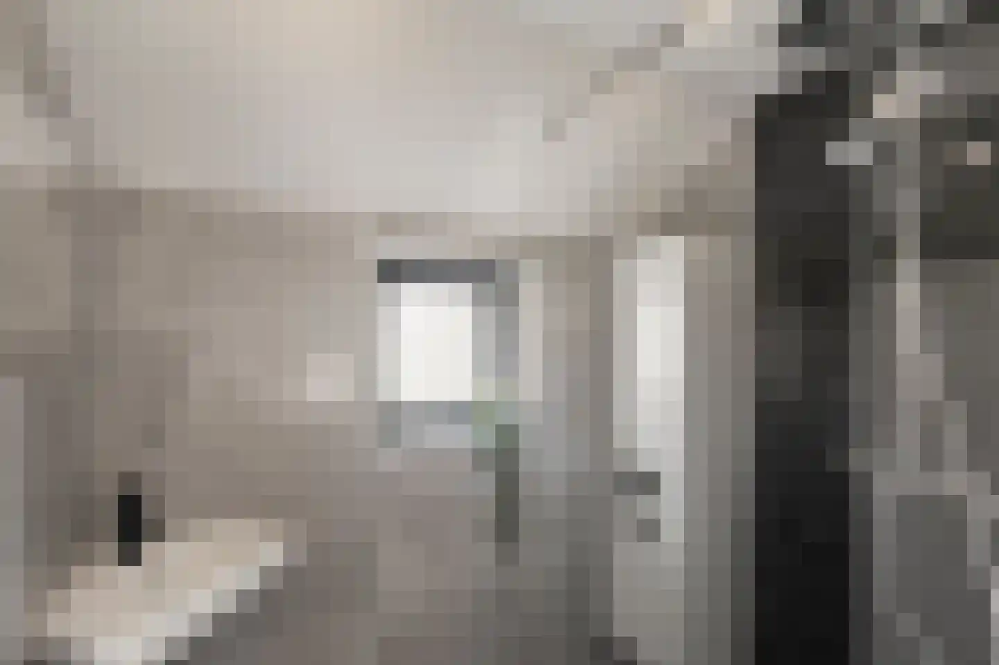 Dongestraat 21 Den Helder thumbnail 22