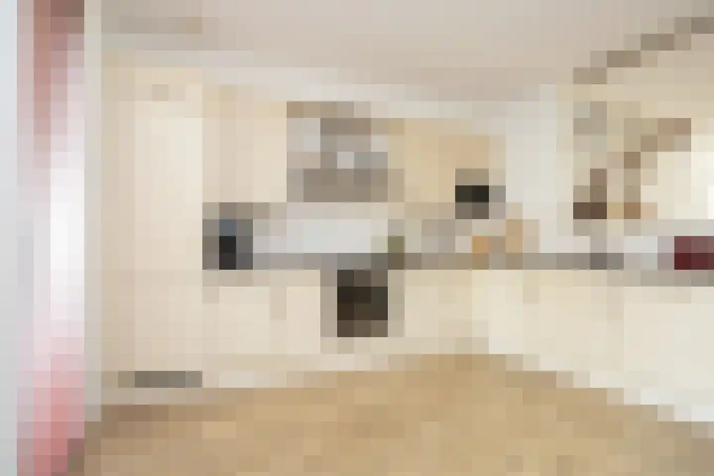 Dongestraat 29 Berkel en Rodenrijs thumbnail 15