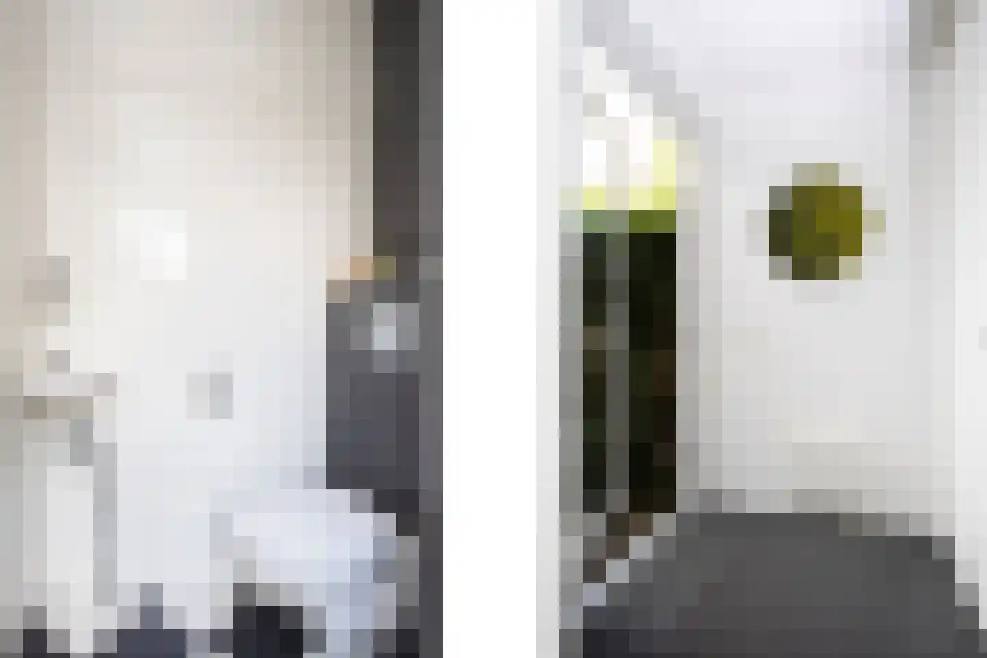 Dongestraat 29 Berkel en Rodenrijs thumbnail 19