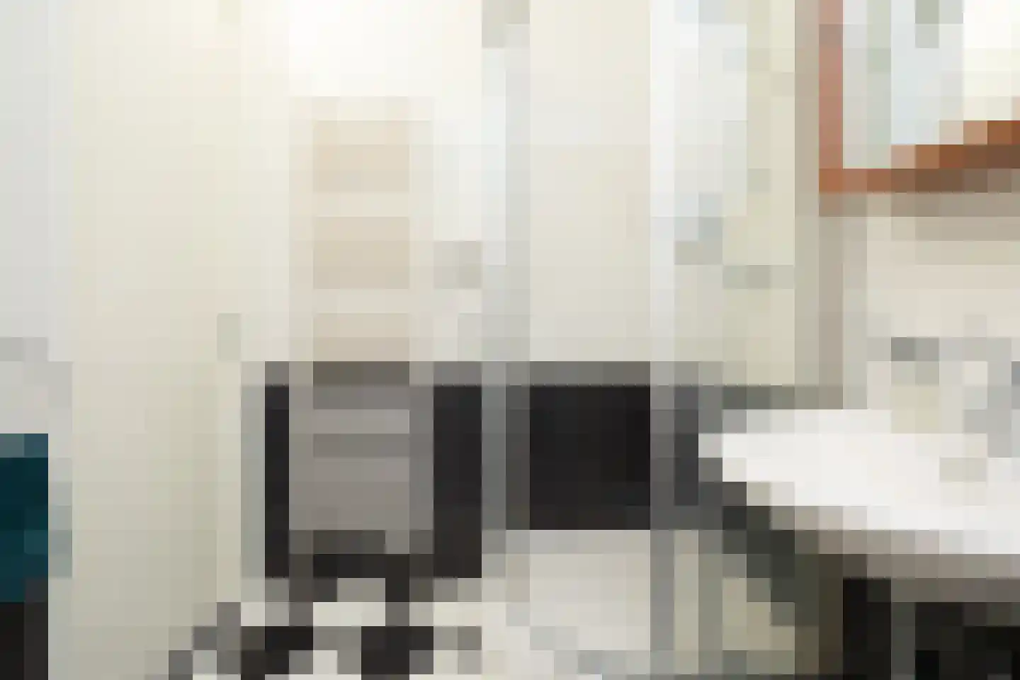 Dongestraat 29 Berkel en Rodenrijs thumbnail 28