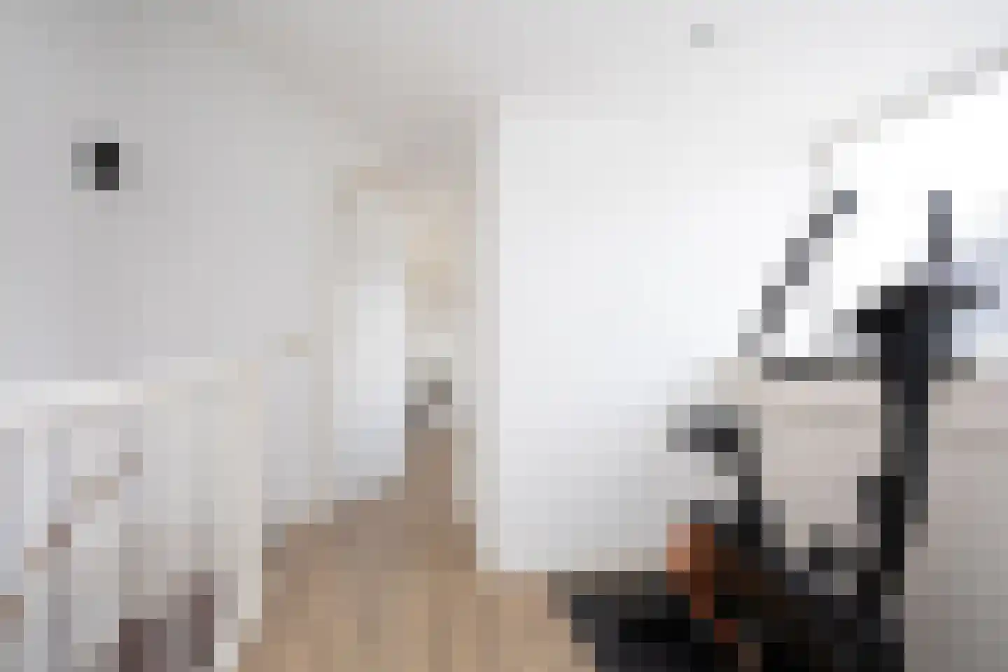 Dongestraat 29 Berkel en Rodenrijs thumbnail 32