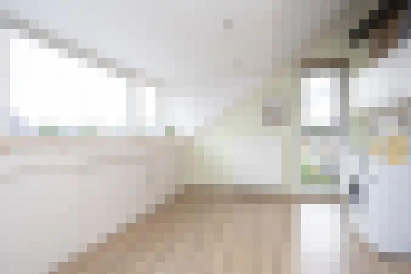 Dongestraat 29 Berkel en Rodenrijs thumbnail 34