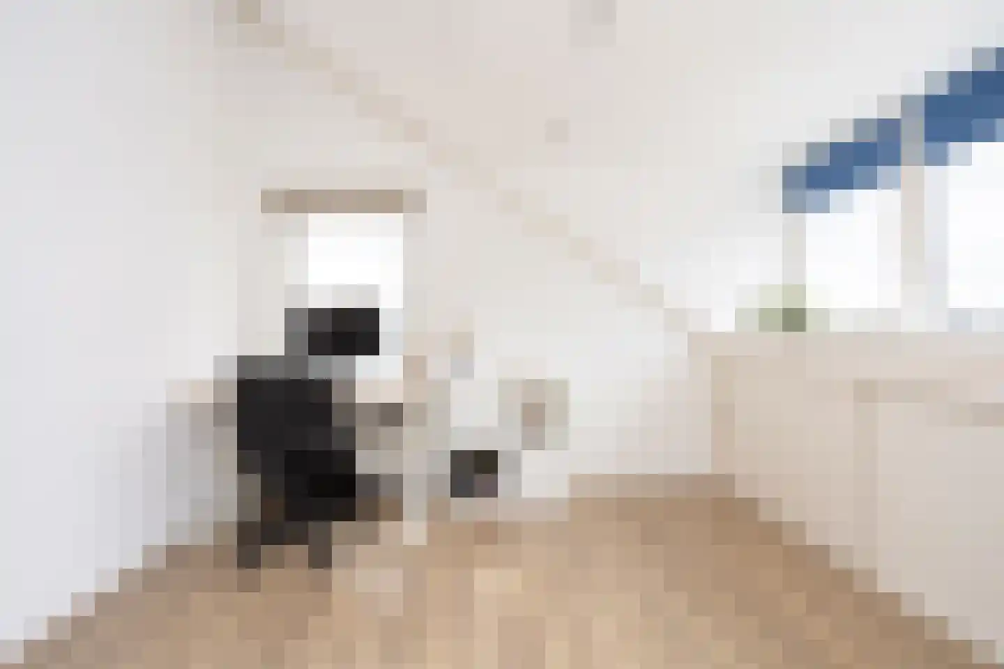 Dongestraat 29 Berkel en Rodenrijs thumbnail 36