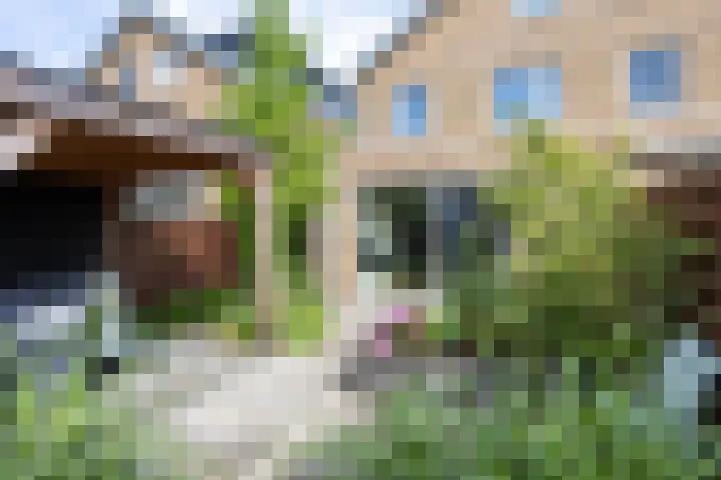 Dongestraat 29 Berkel en Rodenrijs thumbnail 37