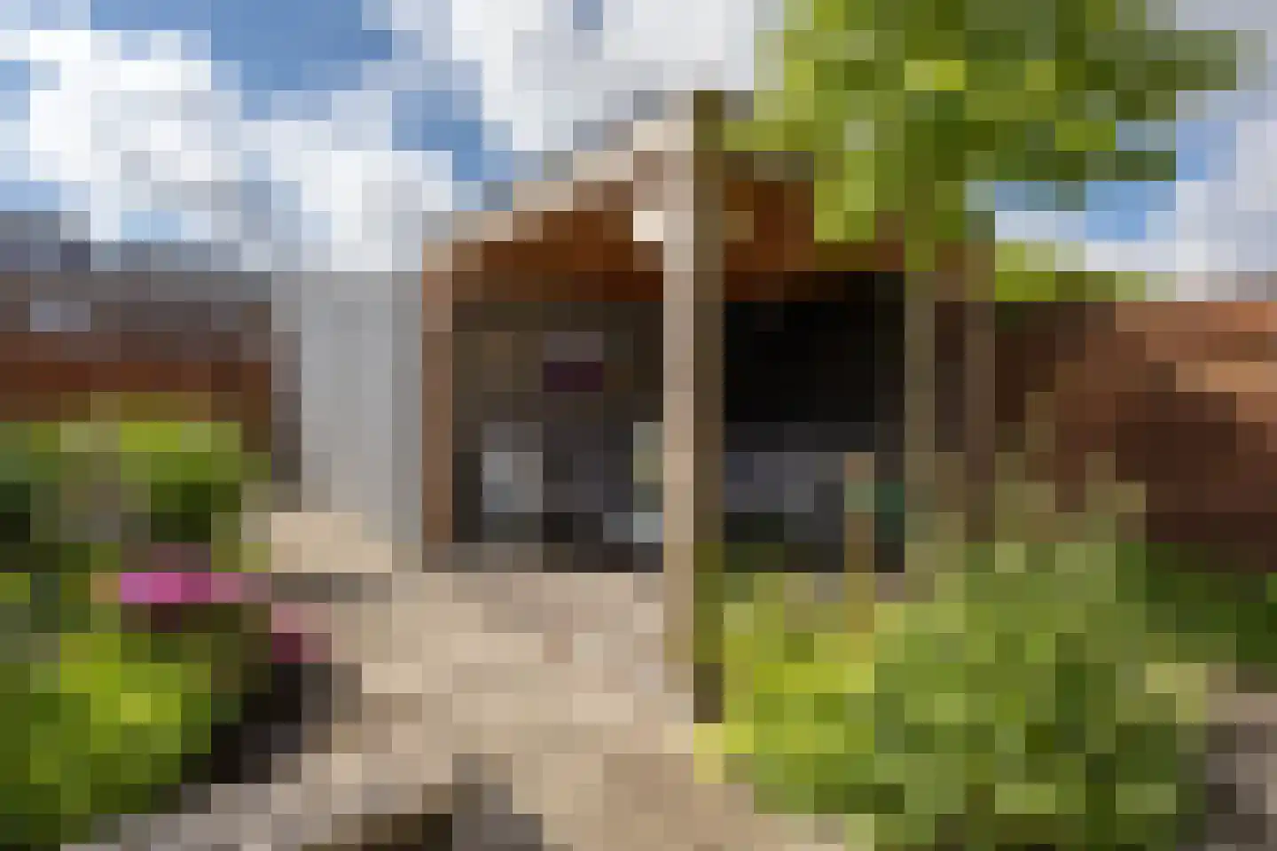 Dongestraat 29 Berkel en Rodenrijs thumbnail 41