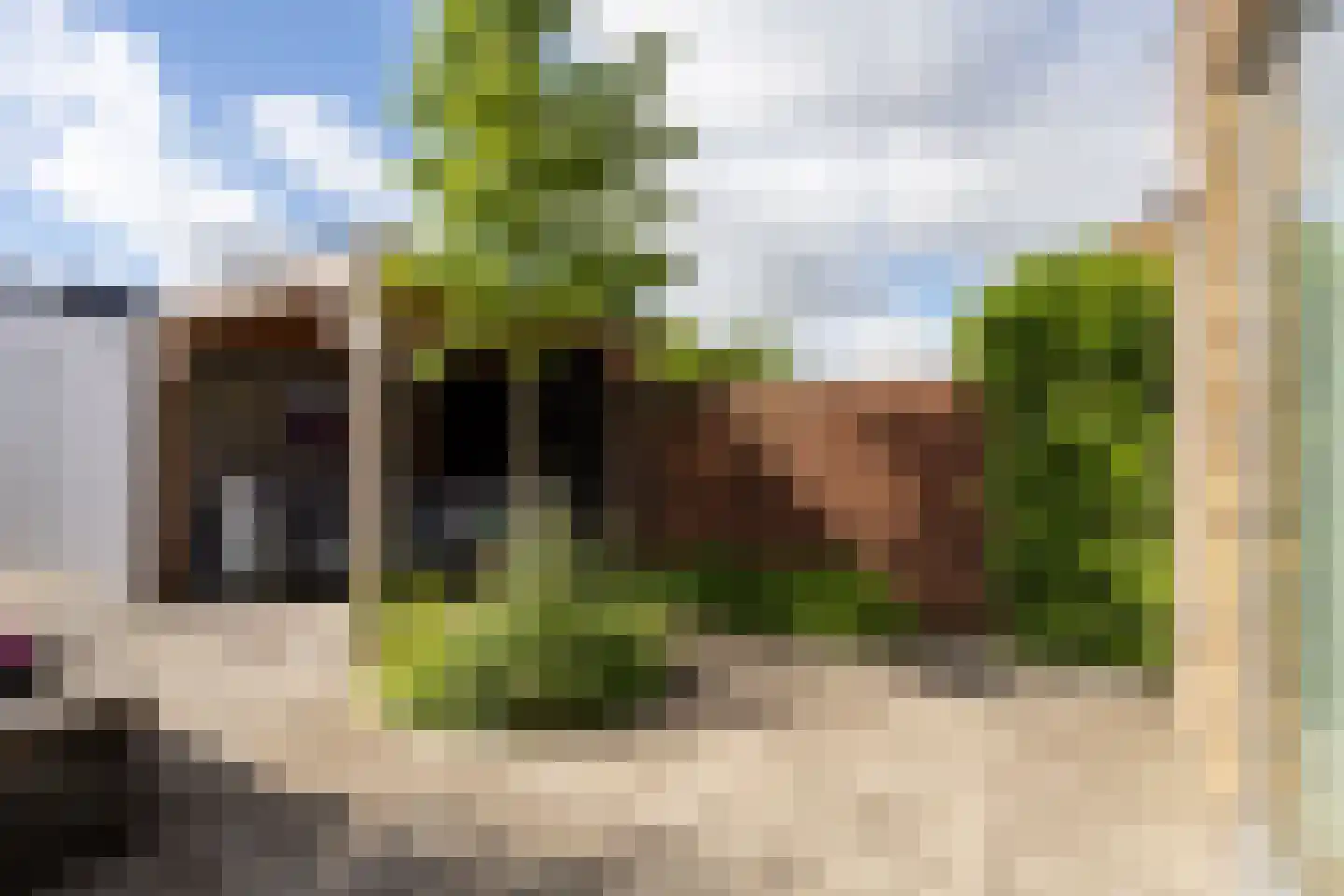 Dongestraat 29 Berkel en Rodenrijs thumbnail 42