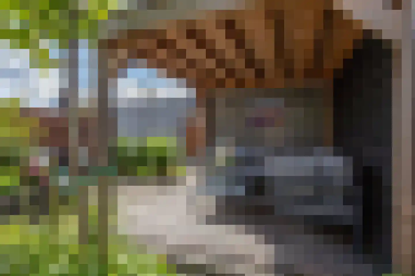 Dongestraat 29 Berkel en Rodenrijs thumbnail 43