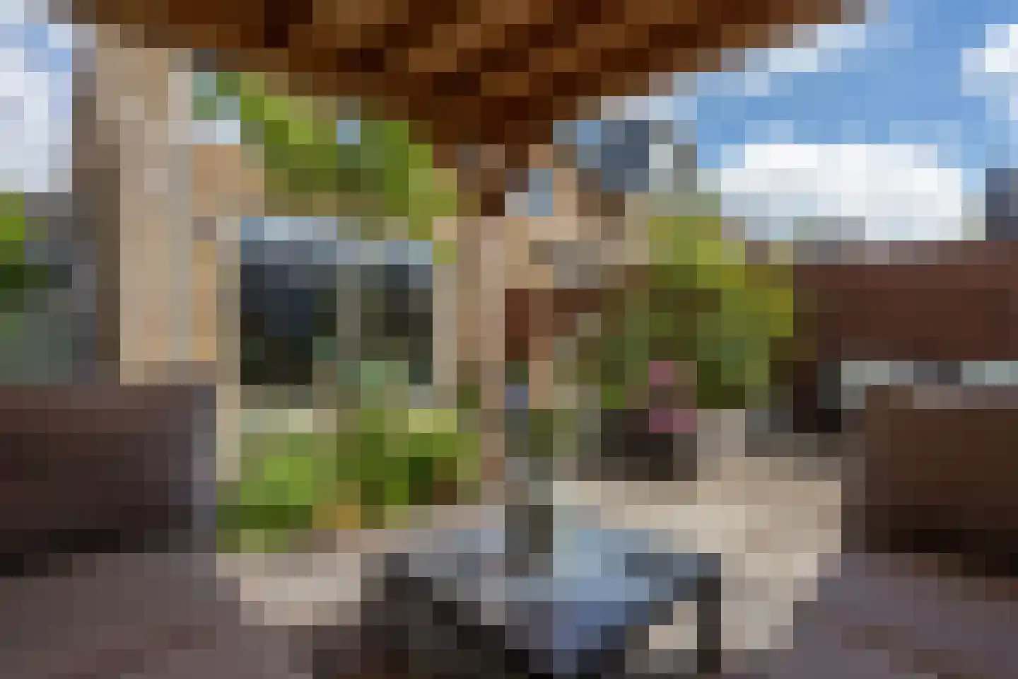 Dongestraat 29 Berkel en Rodenrijs thumbnail 44
