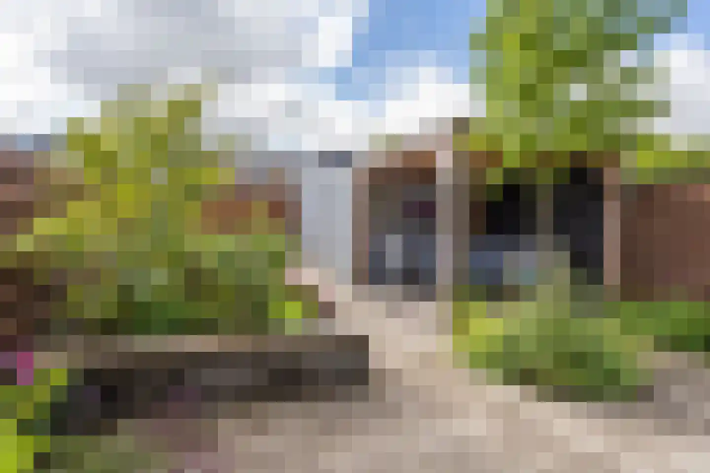 Dongestraat 29 Berkel en Rodenrijs thumbnail 46