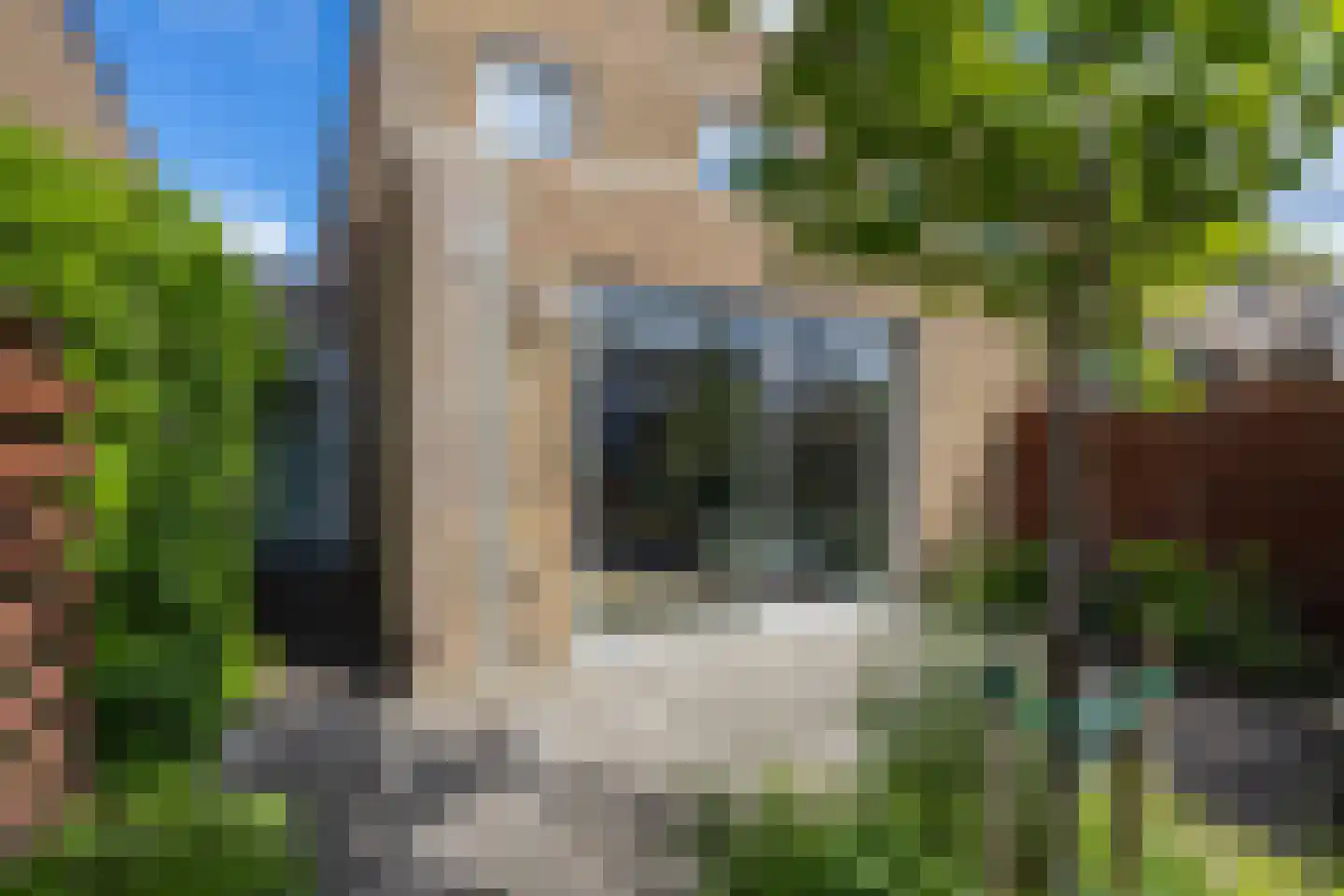 Dongestraat 29 Berkel en Rodenrijs thumbnail 49