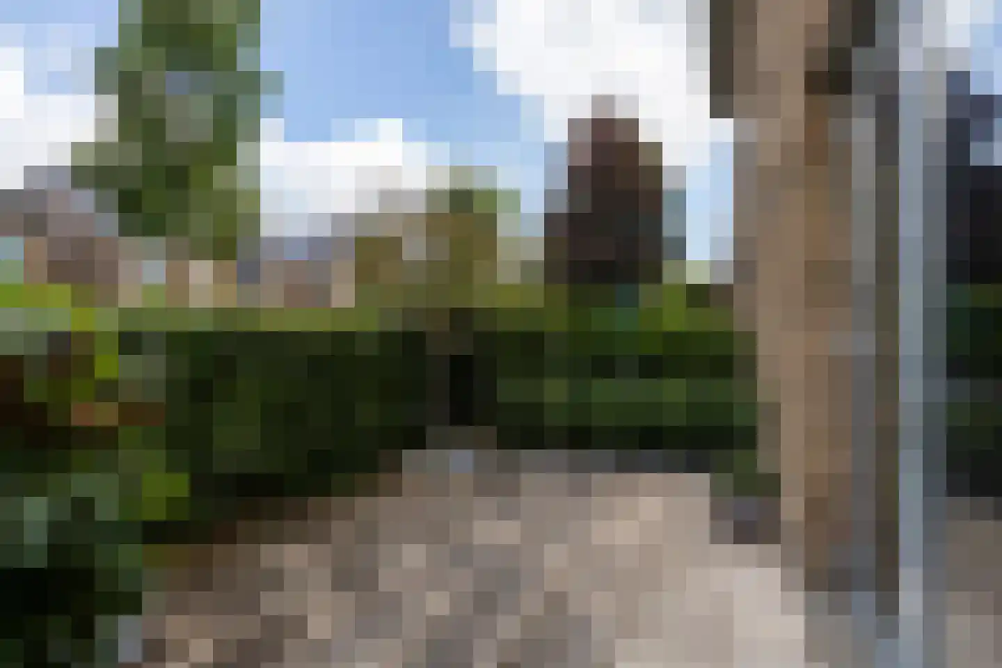 Dongestraat 29 Berkel en Rodenrijs thumbnail 5
