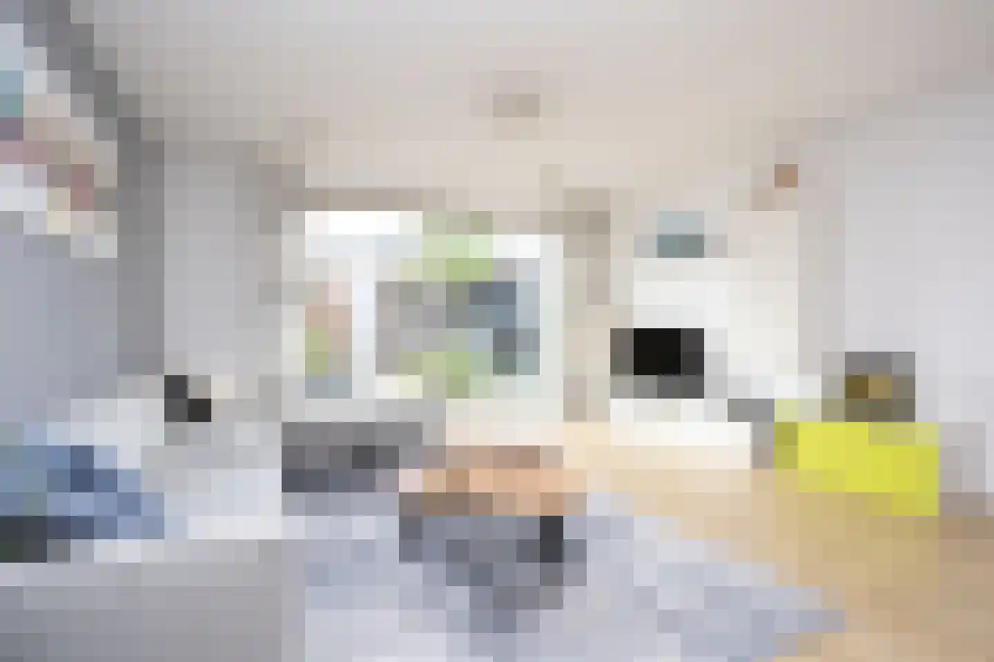 Dongestraat 29 Berkel en Rodenrijs thumbnail 8