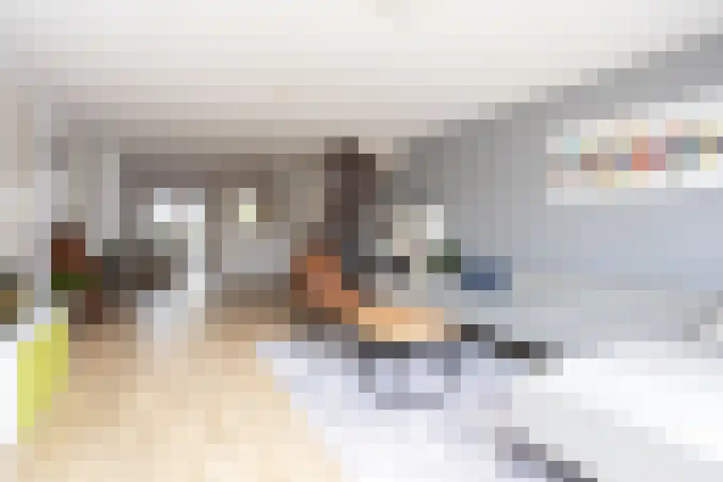 Dongestraat 29 Berkel en Rodenrijs thumbnail 9