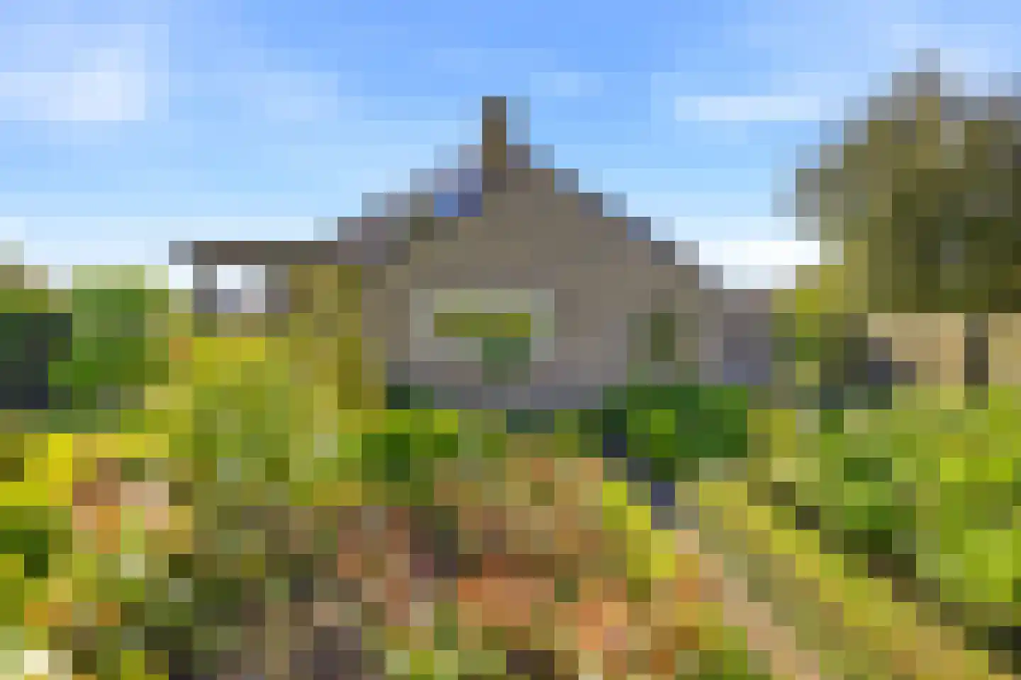 Dongestraat 29 Oost-Souburg thumbnail 34