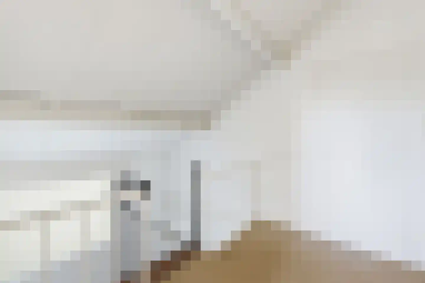 Dongestraat 29 Oost-Souburg thumbnail 41