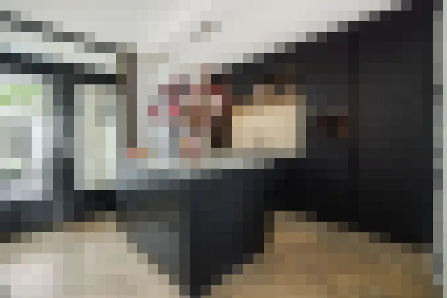 Dongestraat 32 's-Hertogenbosch thumbnail 10