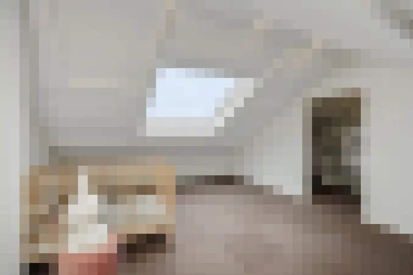 Dongestraat 32 's-Hertogenbosch thumbnail 24