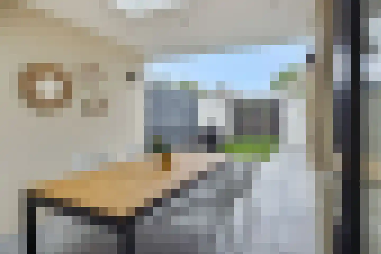Dongestraat 32 's-Hertogenbosch thumbnail 28