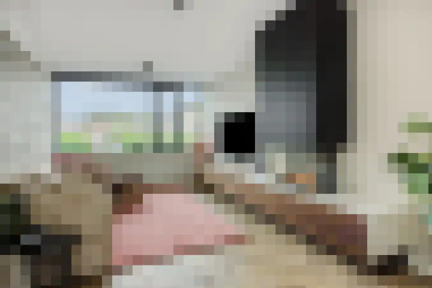 Dongestraat 32 's-Hertogenbosch thumbnail 5
