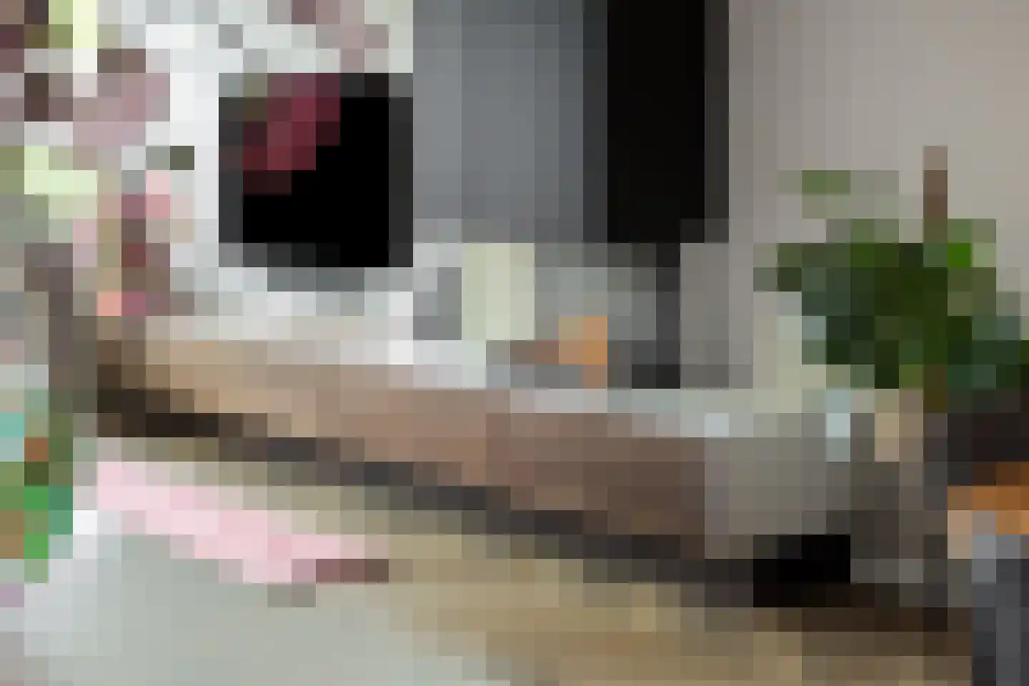 Dongestraat 32 's-Hertogenbosch thumbnail 6