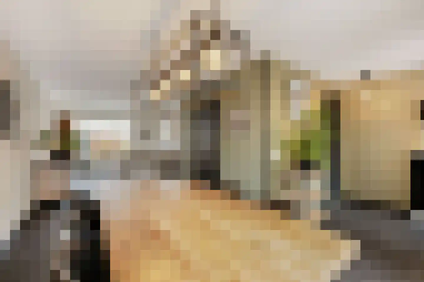 Dongestraat 55 Helmond thumbnail 16