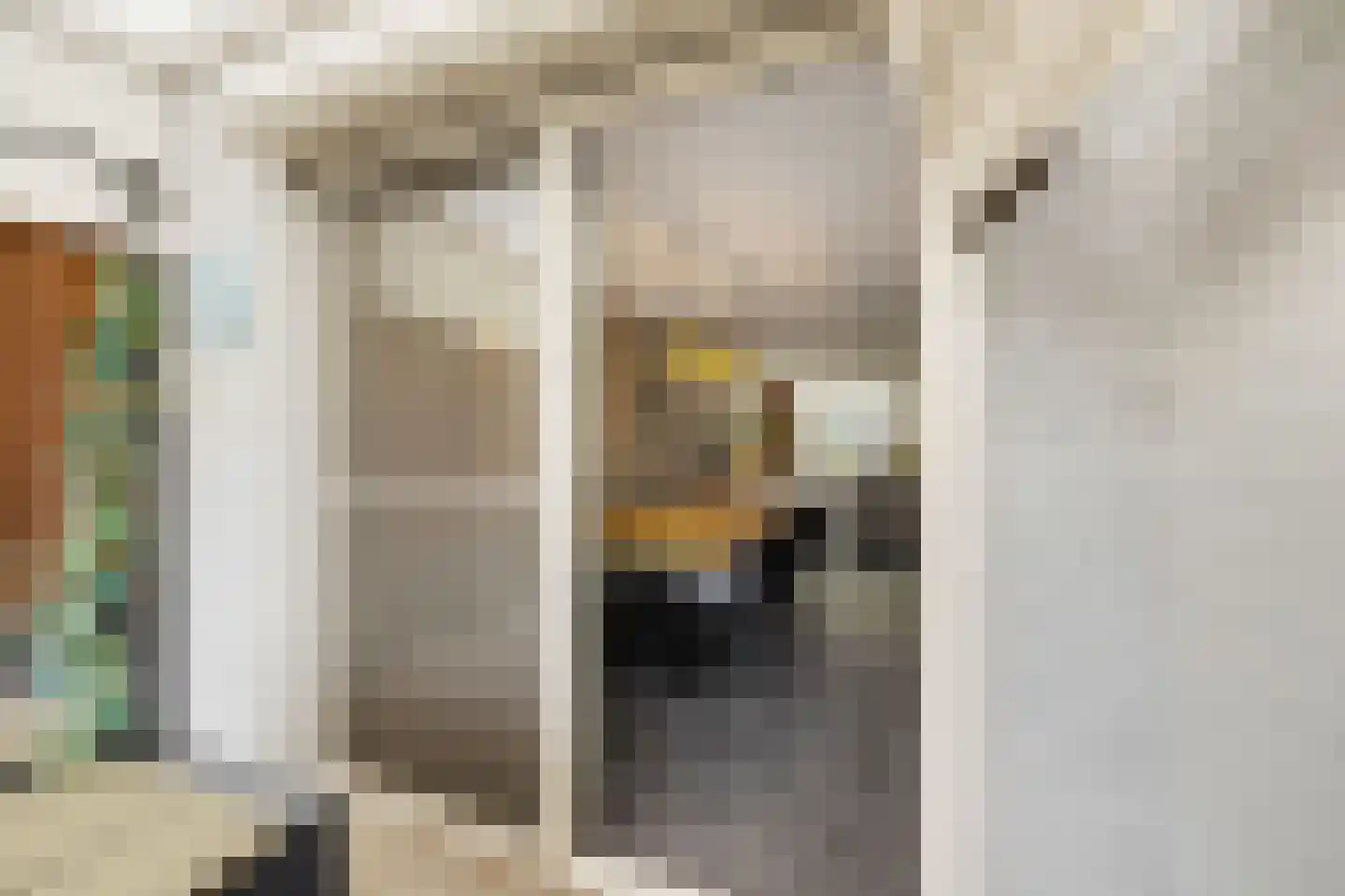 Dongestraat 55 Helmond thumbnail 19