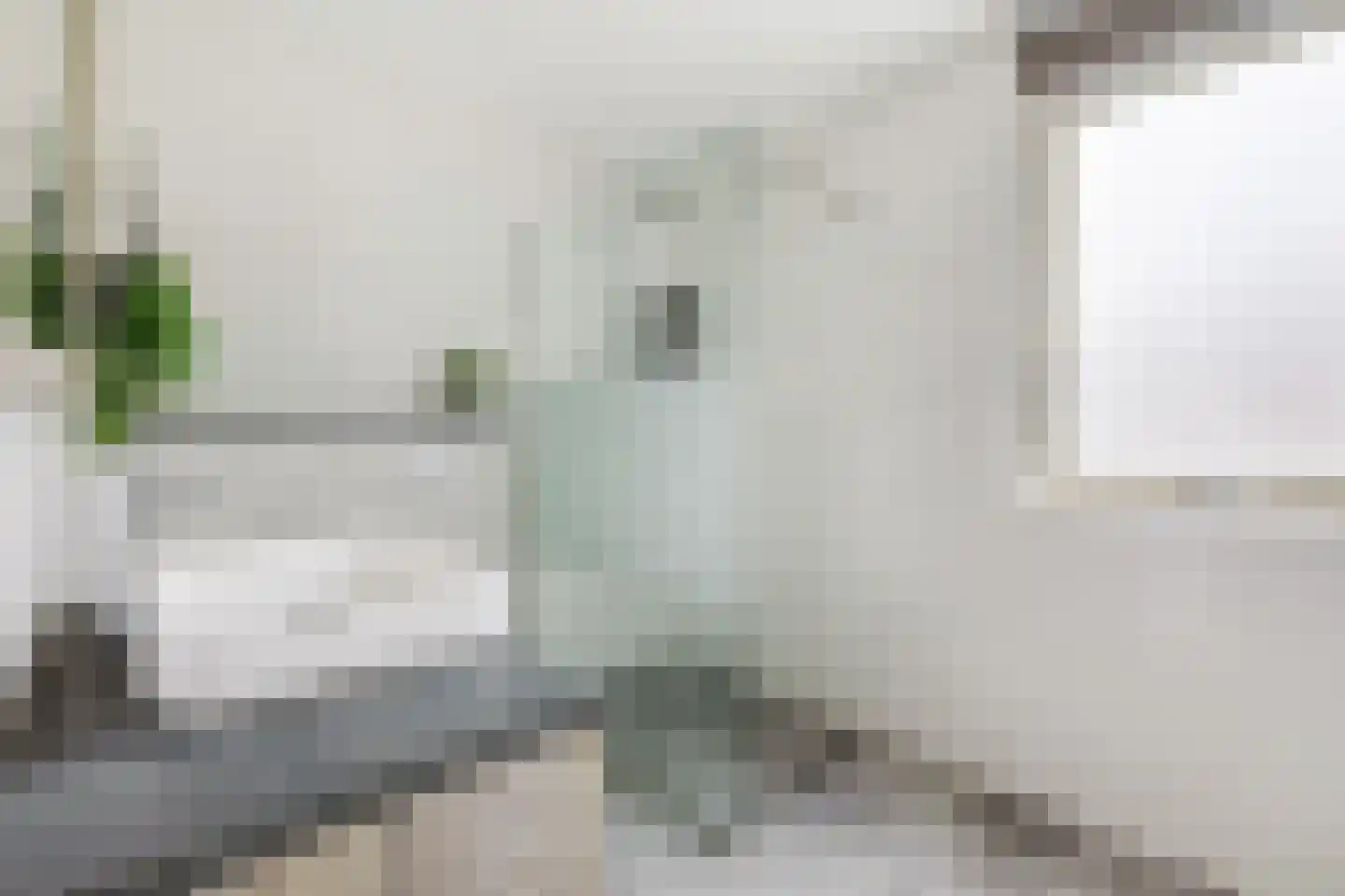 Dongestraat 55 Helmond thumbnail 31