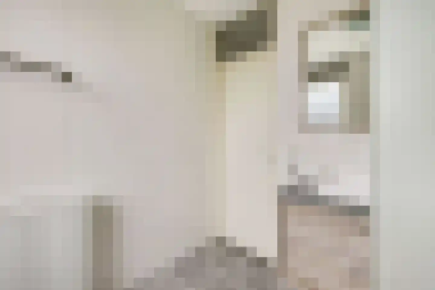 Dongestraat 55 Helmond thumbnail 32