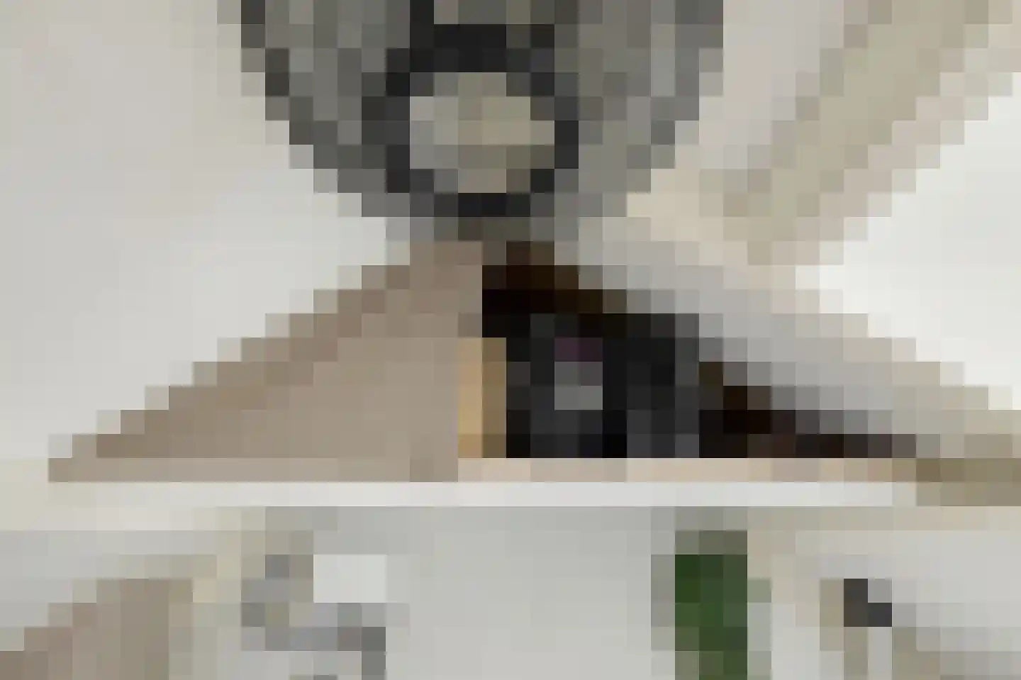 Dongestraat 55 Helmond thumbnail 35