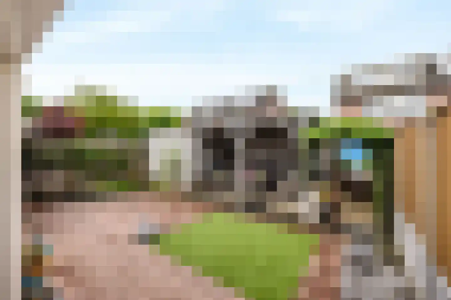 Dongestraat 55 Helmond thumbnail 40
