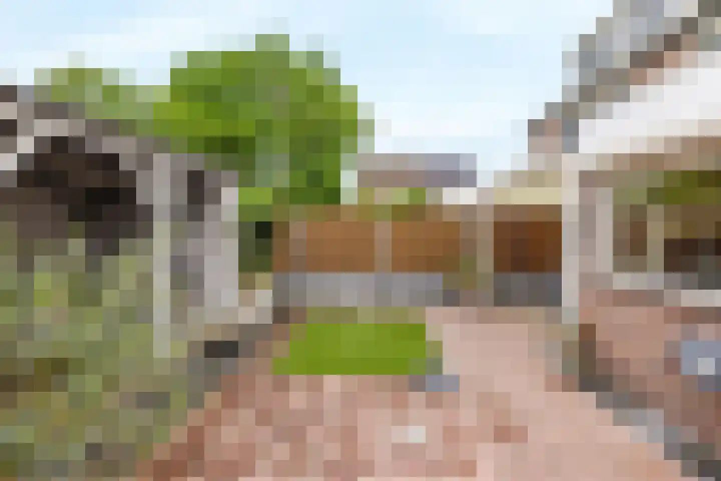 Dongestraat 55 Helmond thumbnail 42