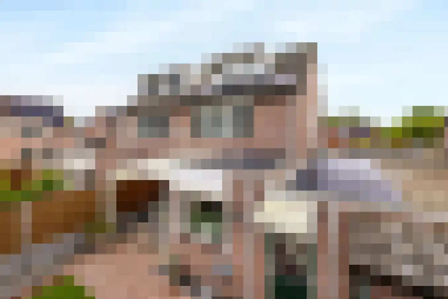 Dongestraat 55 Helmond thumbnail 42