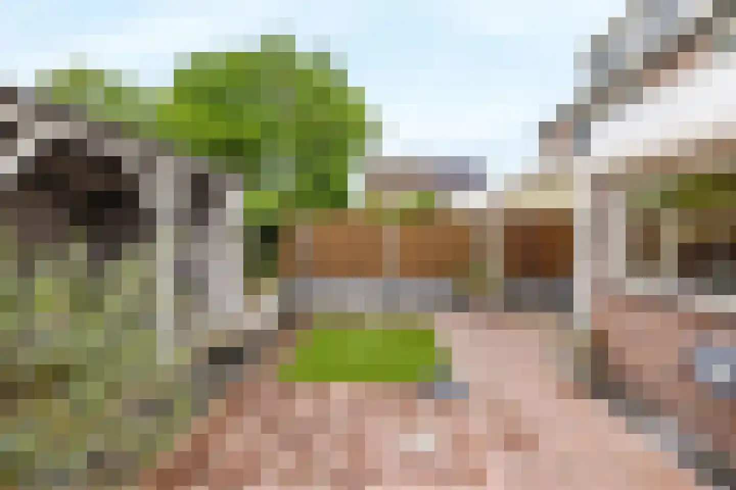 Dongestraat 55 Helmond thumbnail 43