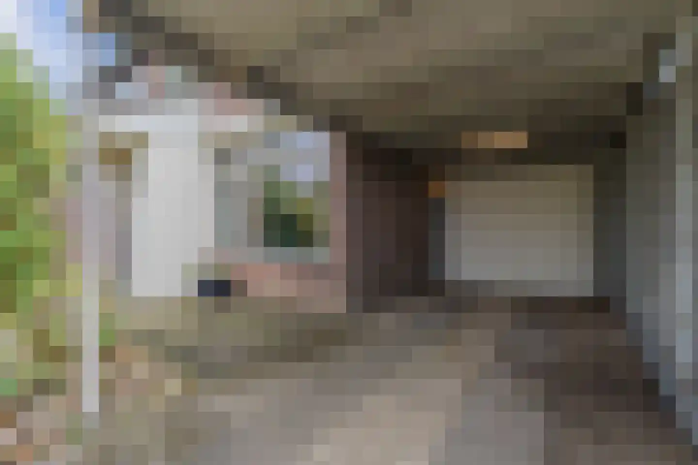 Dongestraat 74 Oost-Souburg thumbnail 10