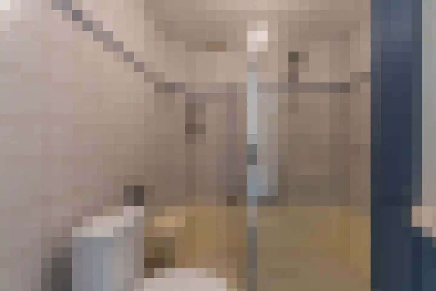 Dongestraat 74 Oost-Souburg thumbnail 37