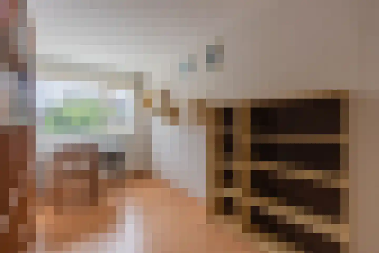 Dongestraat 74 Oost-Souburg thumbnail 41