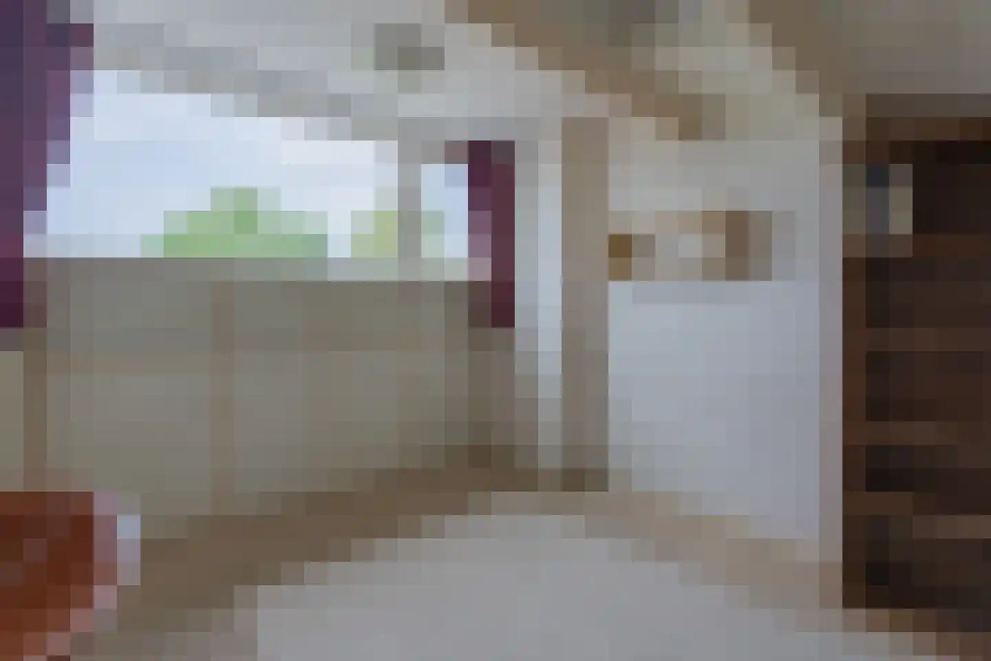 Dongestraat 74 Oost-Souburg thumbnail 46