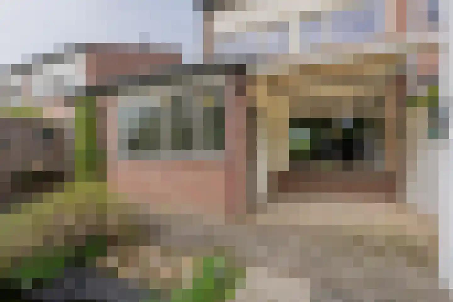 Dongestraat 74 Oost-Souburg thumbnail 50