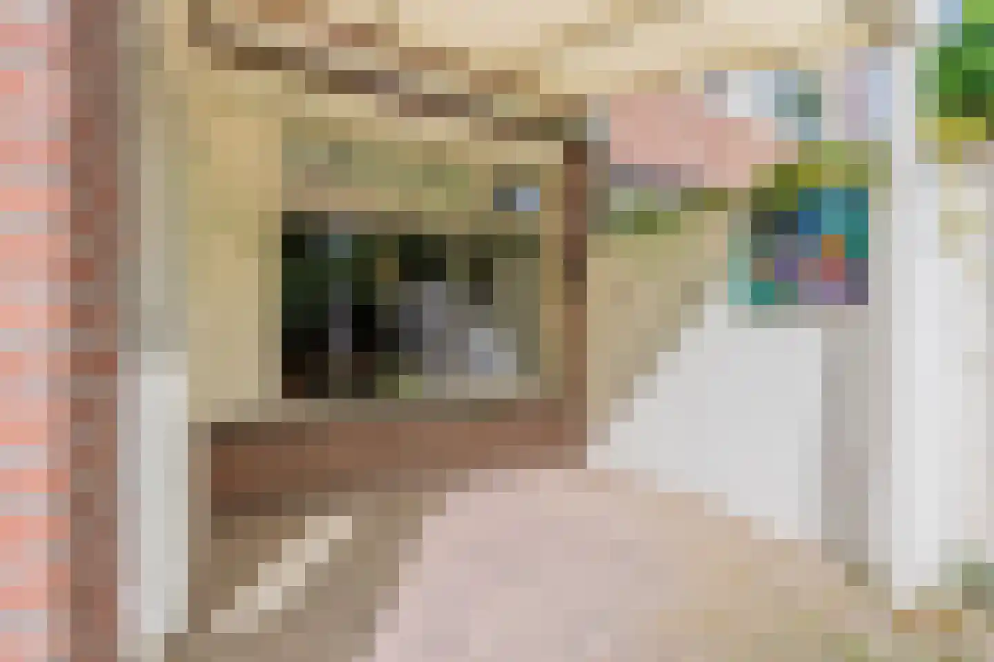 Dongestraat 74 Oost-Souburg thumbnail 51